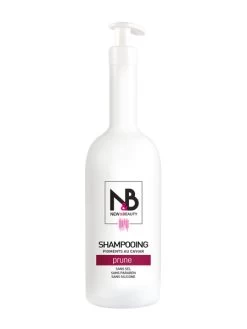 Shampoing Pigmentant Prune New & Beauty 1000ml
