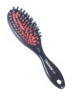 Brosse Pneumatique Picots Blancs Et Sanglier Petit Modèle