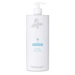 Shampoing Bain Disciplinant 1000ml